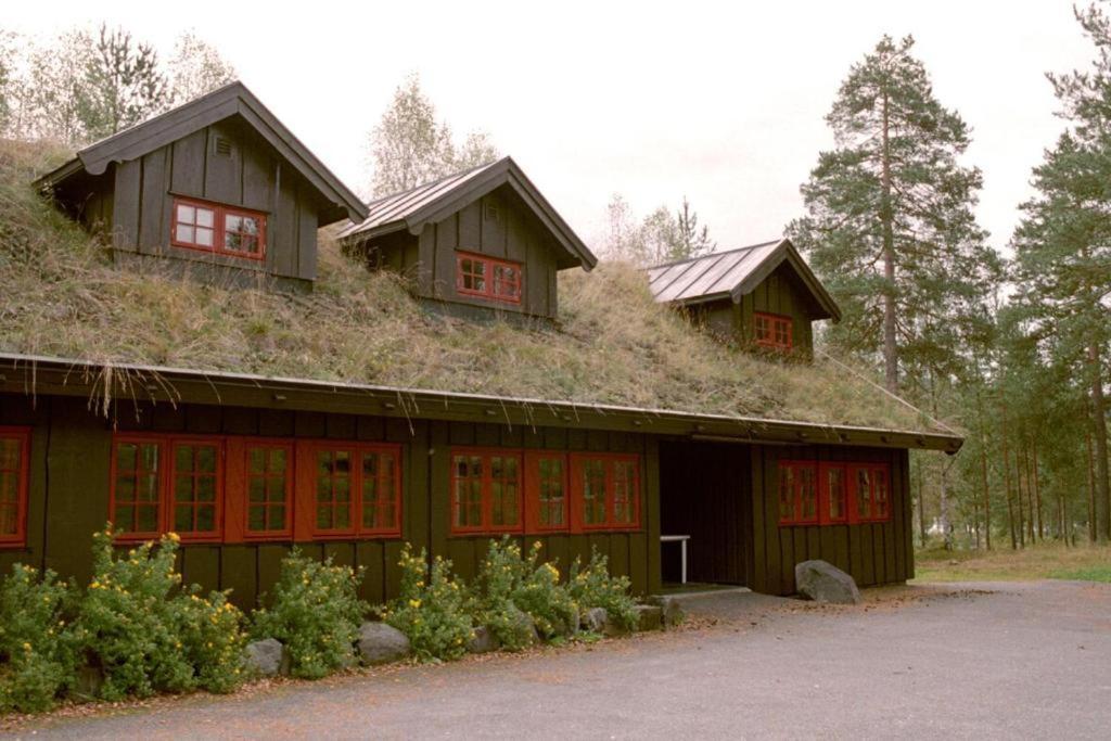 Hunderfossen Apartments 하프옐 외부 사진